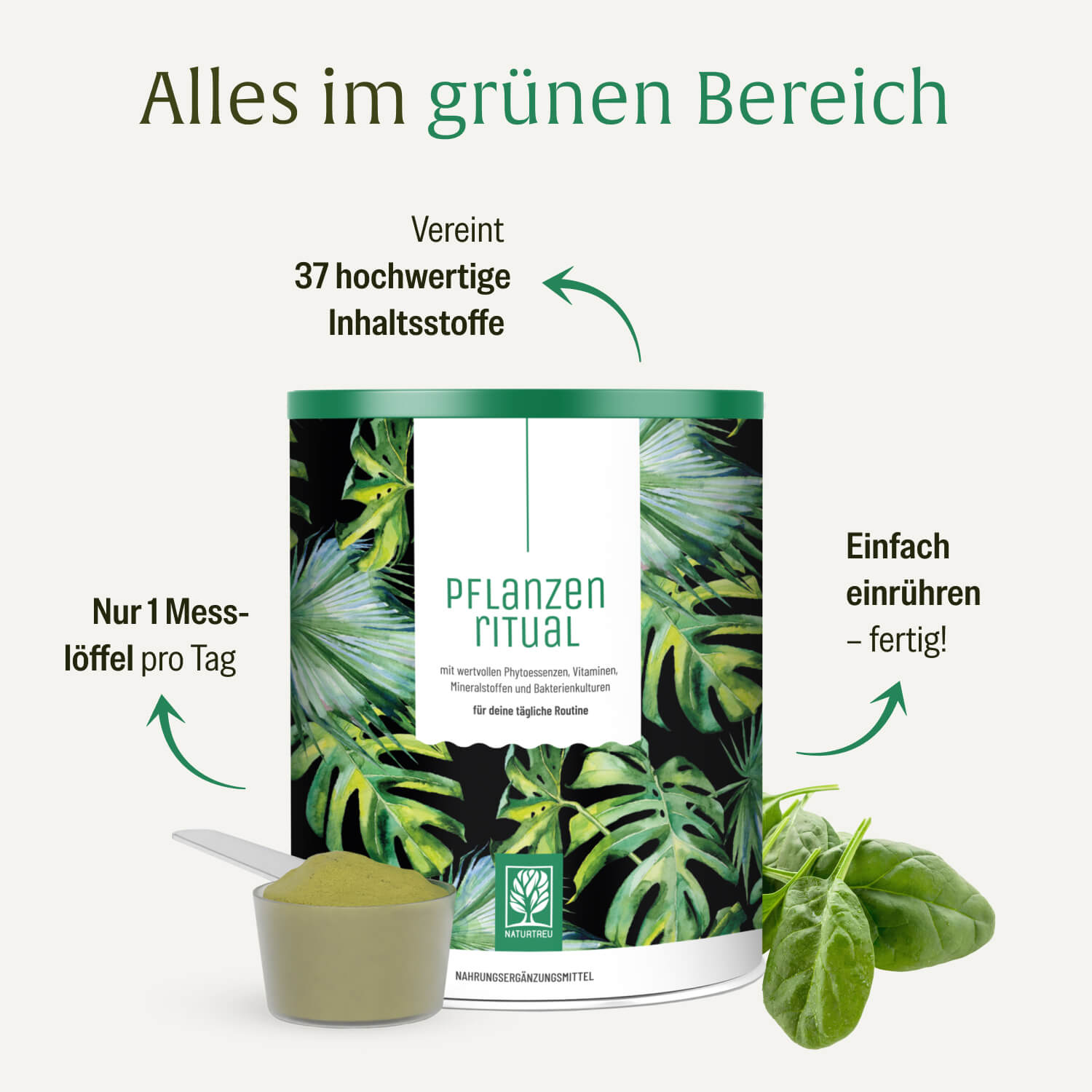 Messlöffel Pflanzenritual Pulver mit Spinatblättern – ein Löffel pro Tag